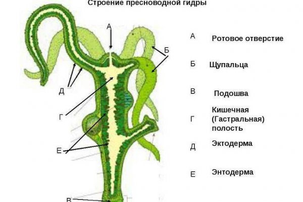 Ссылки кракен телеграф