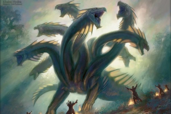 Kraken online