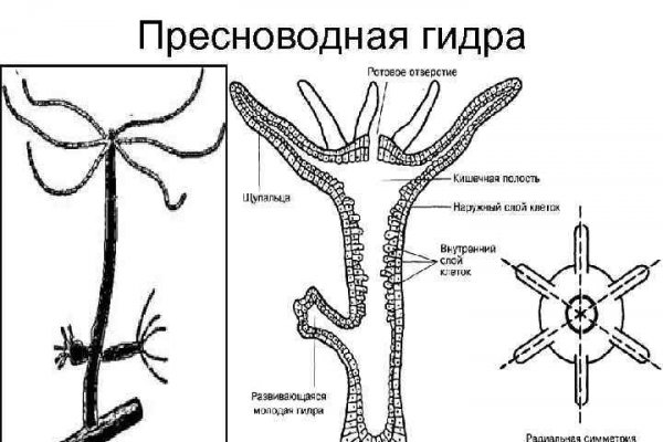 Кракен 17 рабочая ссылка